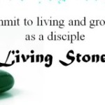 Living Stones, the beginning